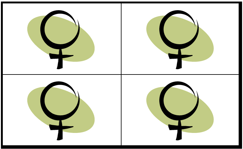 Leadership Support Process